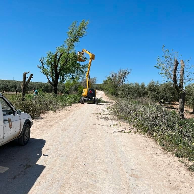4.-INTERVENCIONES EN EL CERRO DE LA CABEZA Y SU CAMINO DE ACCESO