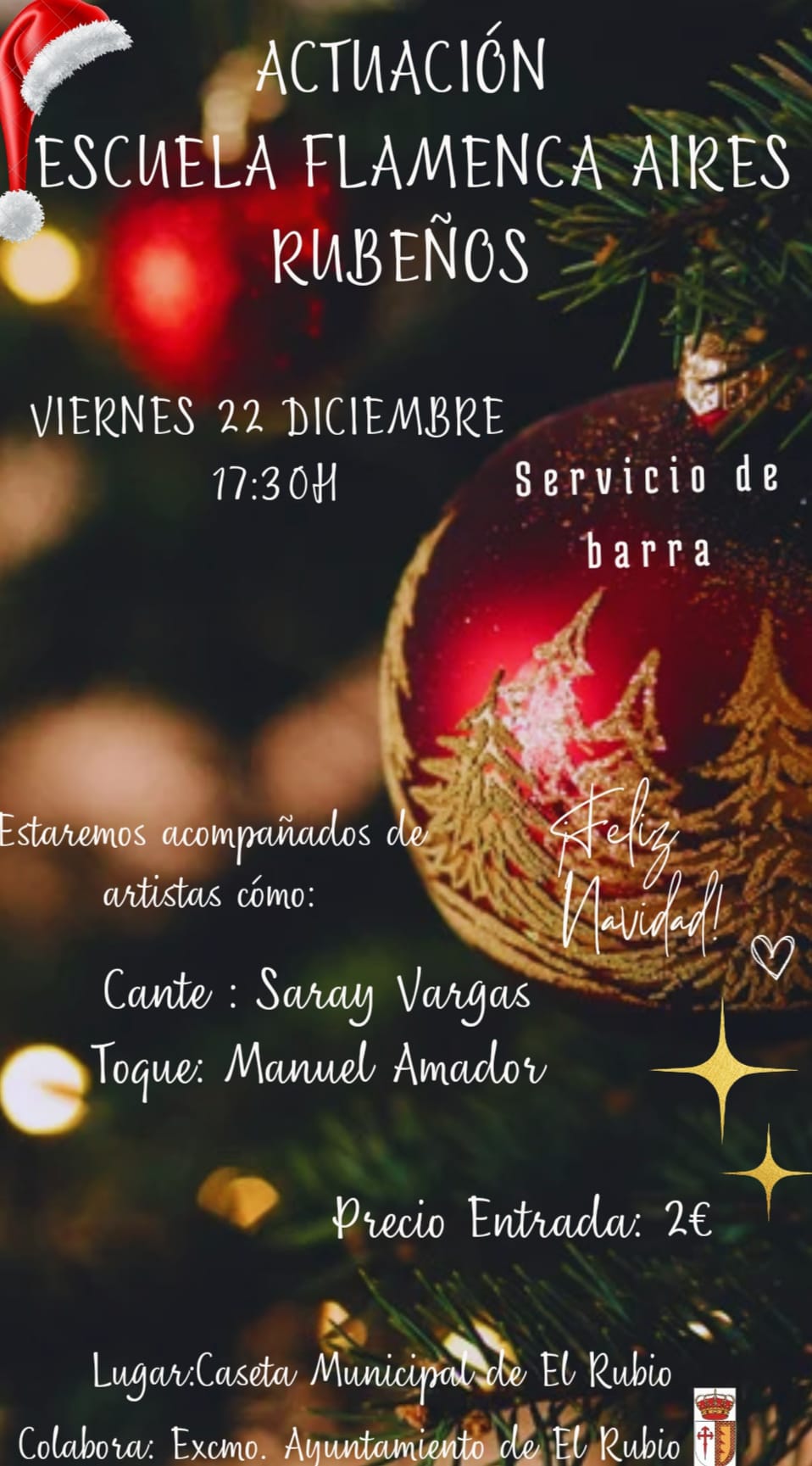 ACTUACIÓN FLAMENCA AIRES RUBEÑOS