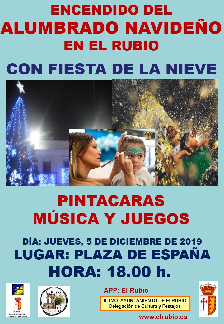 ALUMBRADO NAVIDEÑO 2019