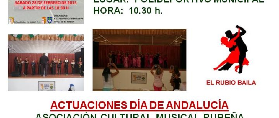 19.-CARTEL_DxA_DE_ANDALUCxA_2015.jpg