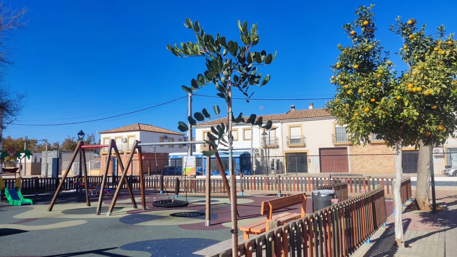 2.-8 NUEVOS ALGARROBOS EN EL PARQUE BLAS INFANTE