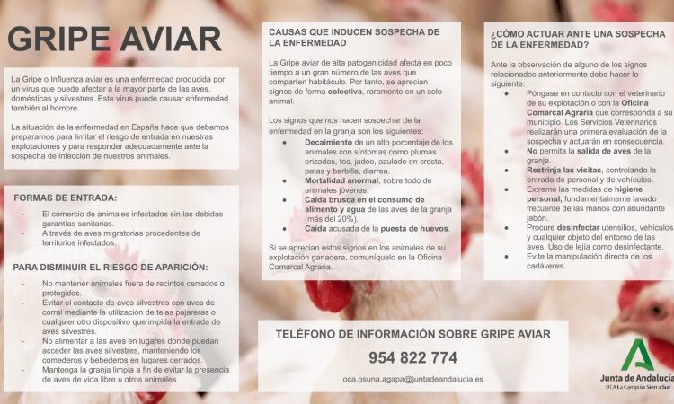 580815473_1244305124409368_8088812629394094346_n