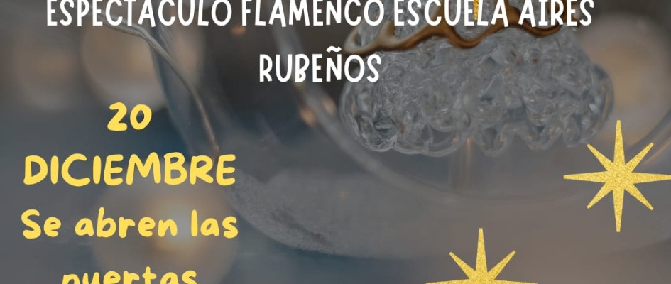 ACTUACIÓN NAVIDEÑA 20 DICIEMBRE 2024