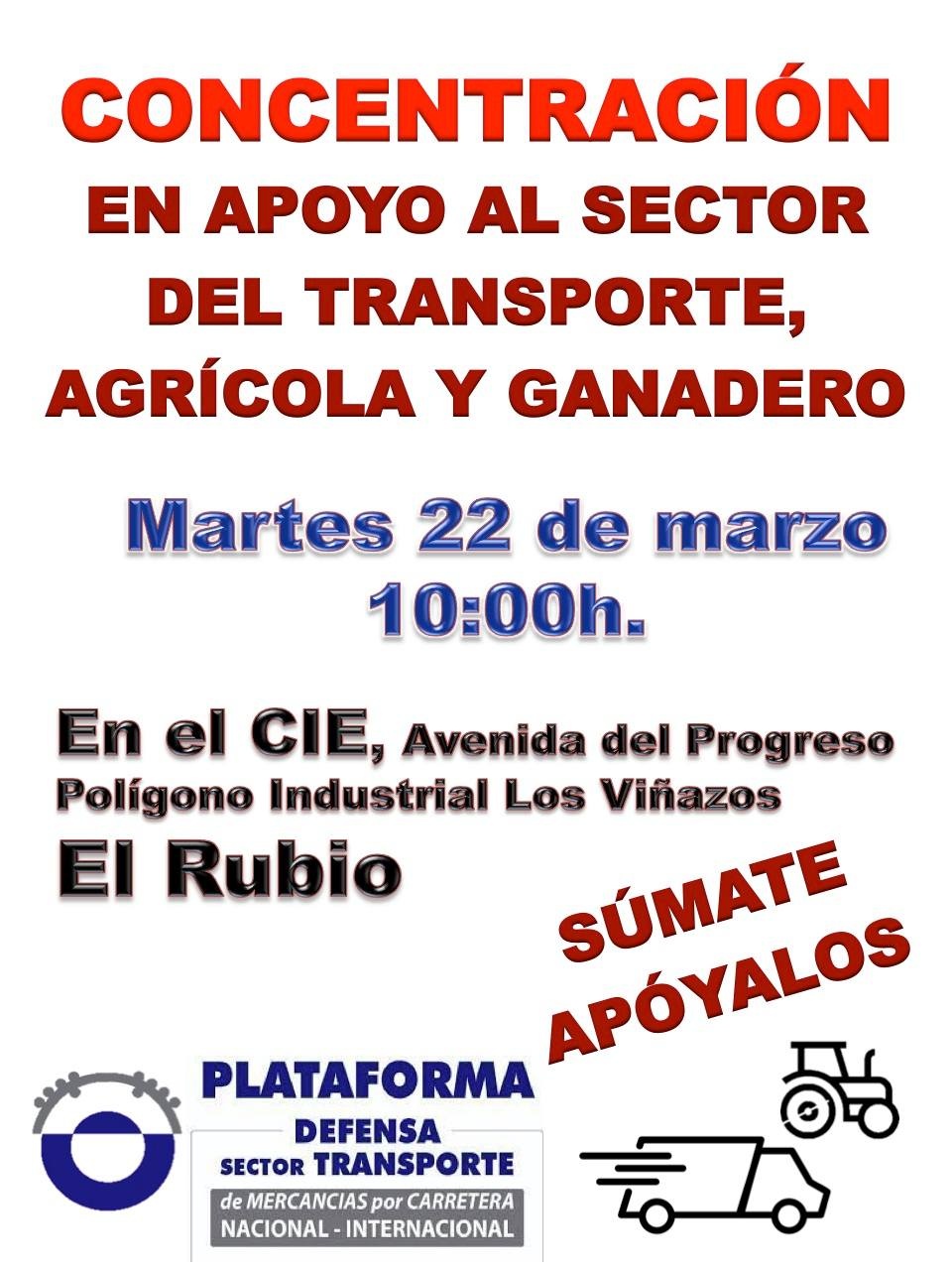 CONCENTRACIÓN EN EL RUBIO