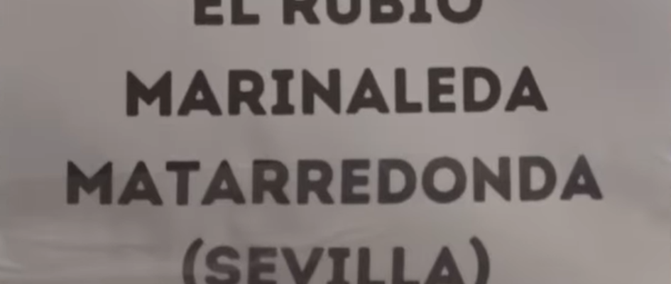 Captura de pantalla 2024-11-05 142926