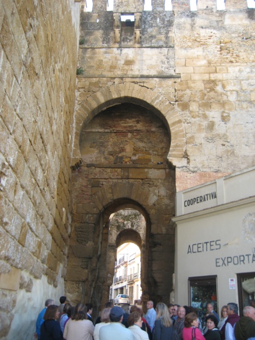 VISITA CULTURAL A CARMONA 2011 020