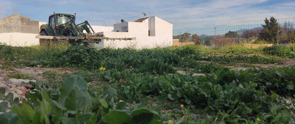 1.-Actuaciones en el entorno urbano