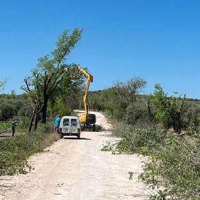 1.-INTERVENCIONES EN EL CERRO DE LA CABEZA Y SU CAMINO DE ACCESO