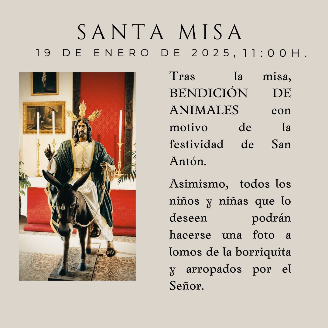2.-SAN ANTÓN 19 ENERO 2025
