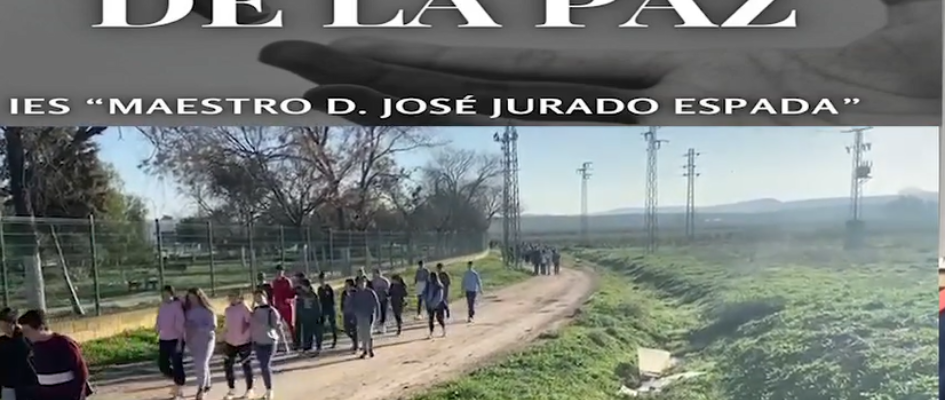 Captura de pantalla 2024-02-01 145358