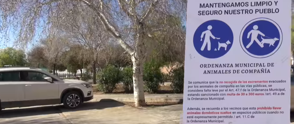 Captura de pantalla 2024-02-21 100353