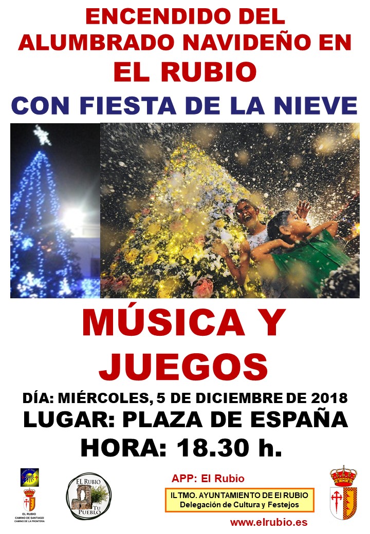 ALUMBRADO NAVIDEÑO 2018