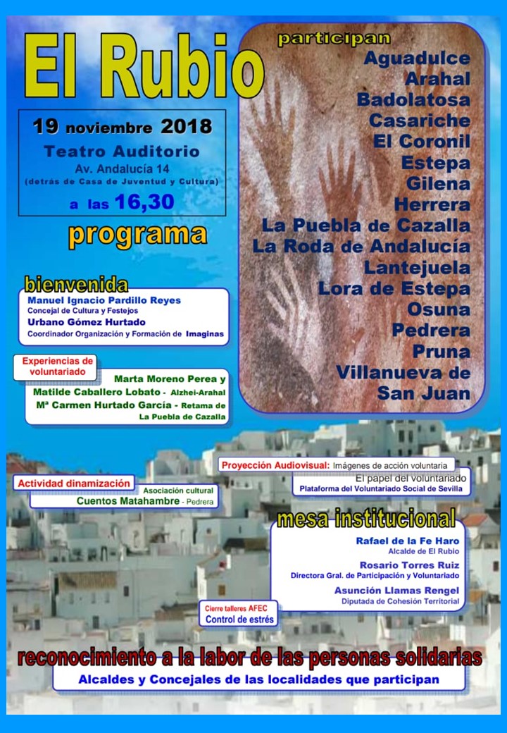 VOLUNTARIADO 19 NOVIEMBRE 2018