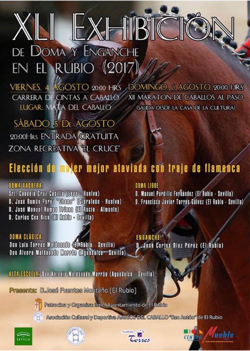 CABALLOS FERIA 2017
