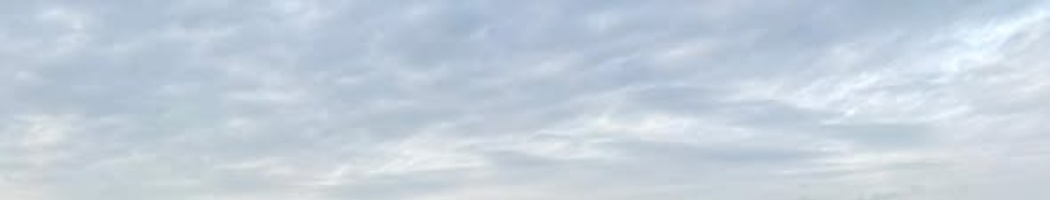 ESCUELA MUNICIPAL DE FÚTBOL DE EL RUBIO