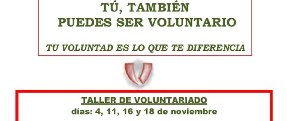 107.-TALLER_VOLUNTARIADO_2015.jpg