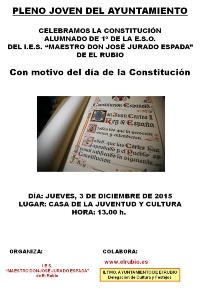 CONSTITUCIÓN I.E.S. VERTICAL 2015