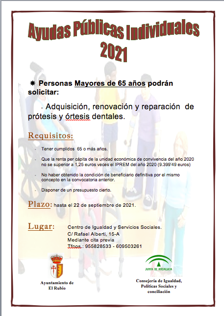 2.-AYUDAS PÚBLICAS INDIVIDUALES