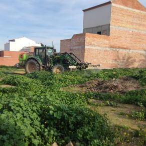 2.-Actuaciones en el entorno urbano