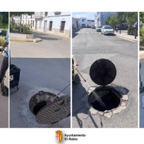 2.-DESRATIZACIÓN Y DESINFECCIÓN