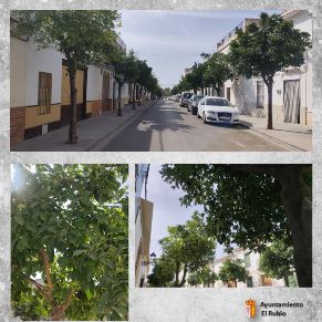 3.-TRABAJOS DE MANTENIMIENTO EN EL C.E.I.P. CARMEN BORREGO