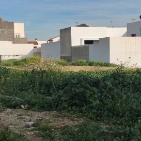 4.-Actuaciones en el entorno urbano