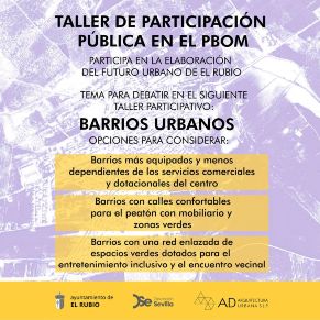 4.-TALLER DE PARTICIPACIÓN PÚBLICA