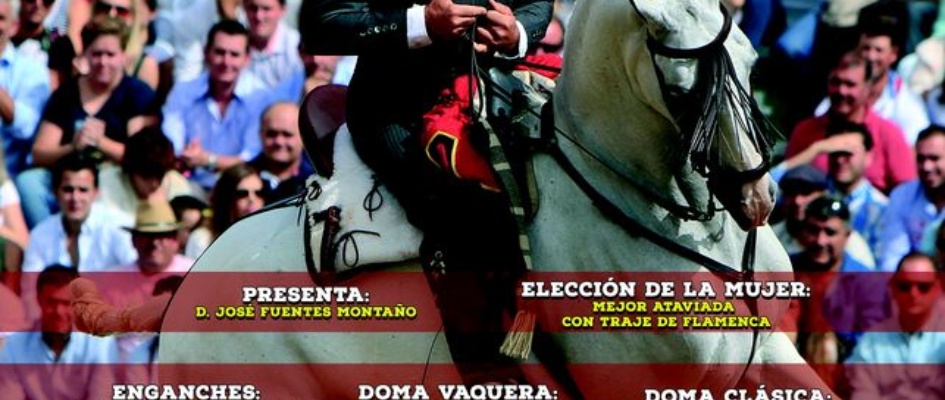 46.-CABALLOS_WEB_2016.jpg
