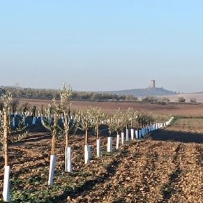 6.-Siguen visitando nuestro pueblo peregrinos