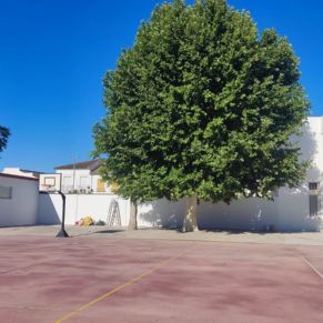 8.-Pintado del exterior del colegio.