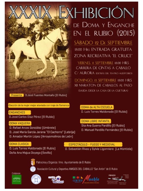 CARTEL CABALLOS WEB PEQ 2015