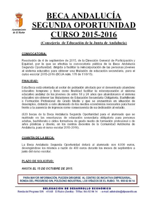 BECA ANDALUCÍA 2015.