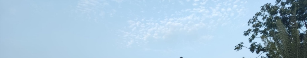 BAR DEL PARQUE BLAS INFANTE