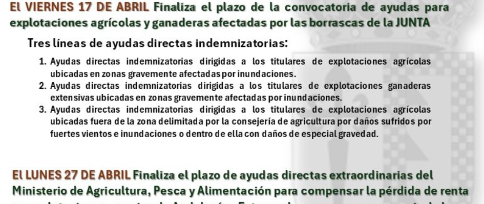 CONVOCATORIA DE INGRESO EN LAS RESIDENCIAS DE ESTUDIANTES DE LOS COMPLEJOS EDUCATIVOS DE LA DIPUTACIÓN PROVINCIAL DE SEVILLA PA