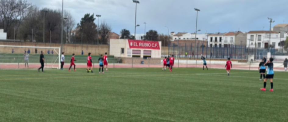 Captura de pantalla 2026-01-19 134710