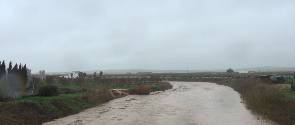 Captura de pantalla 2026-02-04 143519