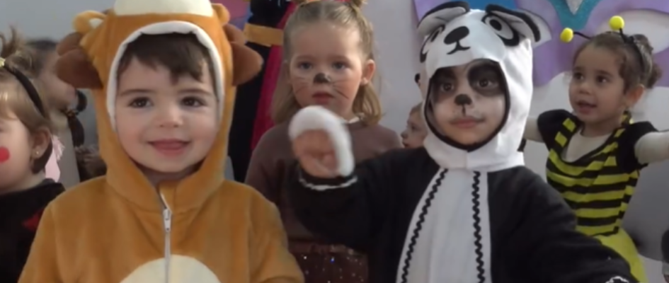 Captura de pantalla 2026-02-17 085619