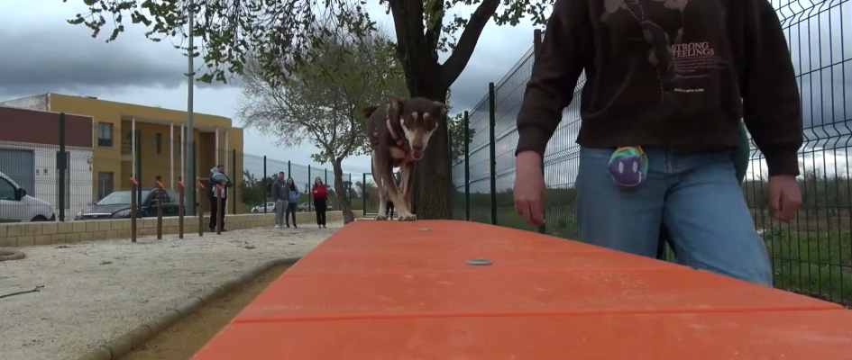 Captura de pantalla 2026-03-12 142910