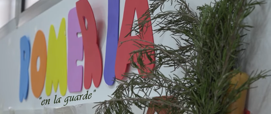 Captura de pantalla 2026-04-29 144101