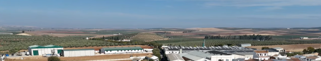 MEJORA DEL ASFALTADO DE TRAMO EN LA CARRETERA DEL CEMENTERIO