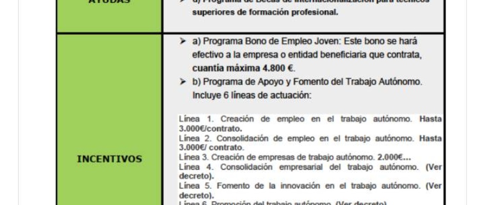 EMPLEO_Y_EMPRENDIMIENTO_2013...jpg