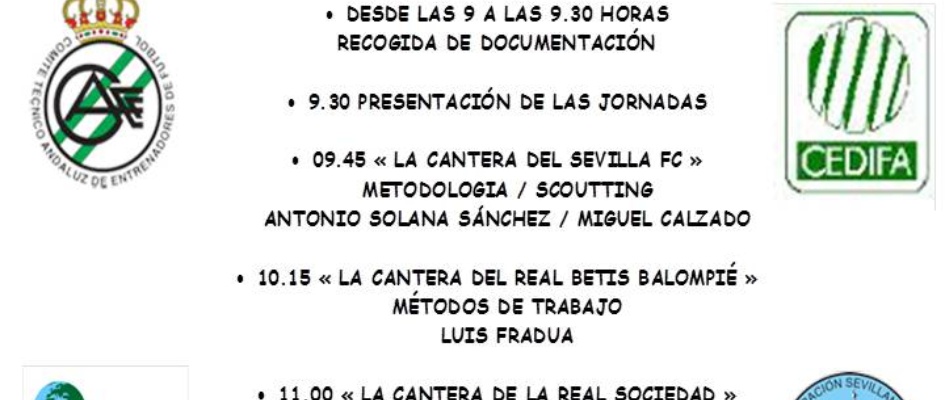FUTBOL_CANTERAS_2013.jpg