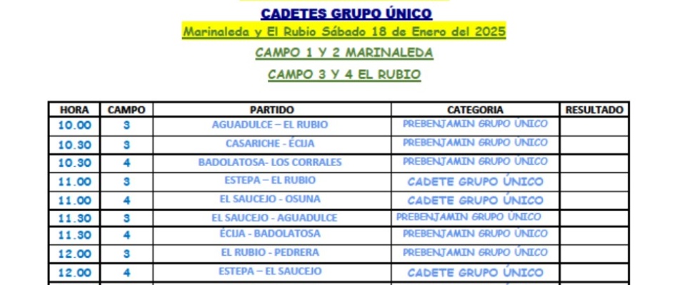PREBENJAMÍN y CADETE en el polideportivo municipal de El Rubio