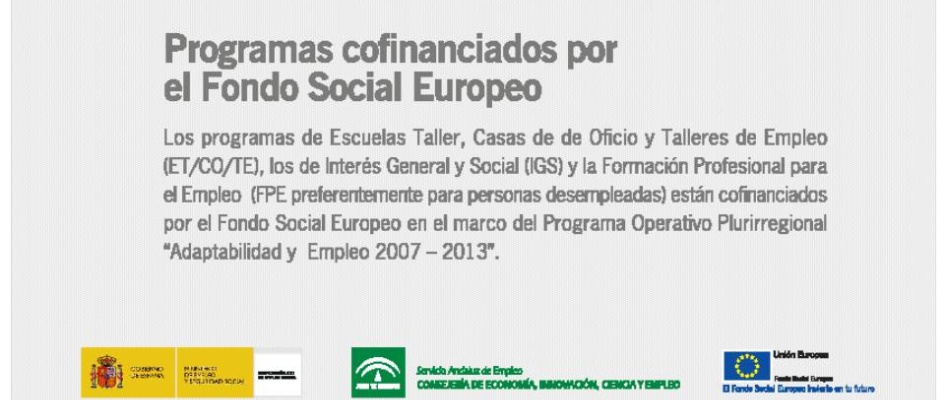 PROGRAMAS_COFINANCIADOS_POR_EL_FONDO_SOCIAL_EUROPEO_2013.jpg