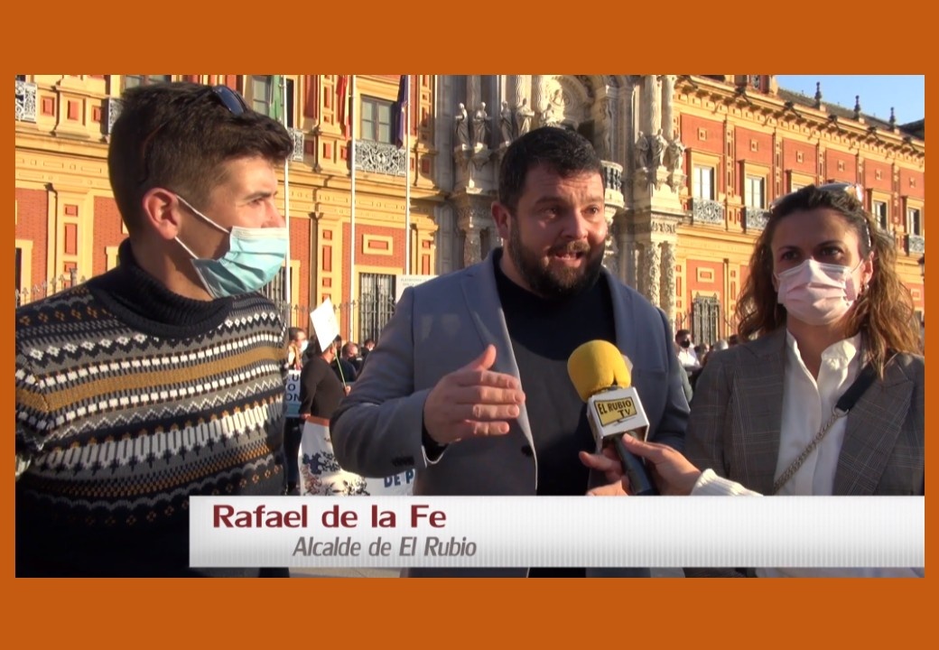 Plataforma de alcaldes y alcaldesas de Sevilla en defensa de la sanidad
