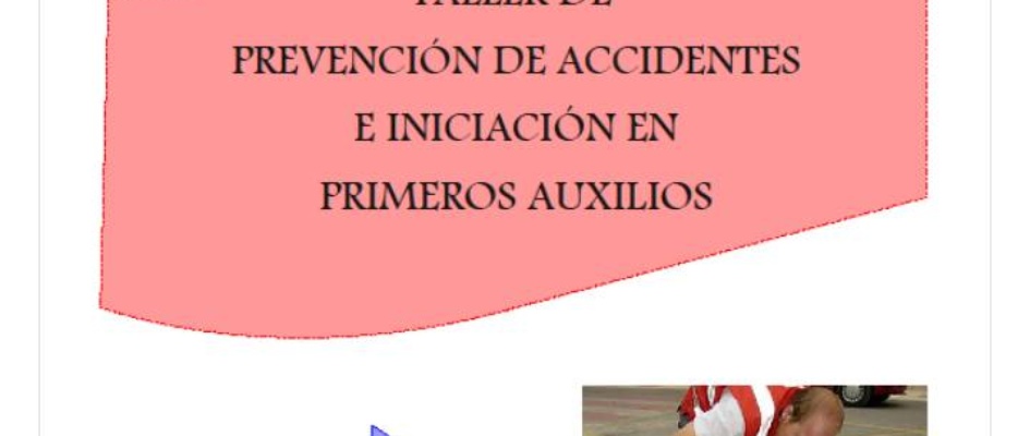 TALLER_DE_PREVENCIxN_DE_ACCIDENTES_2013.jpg