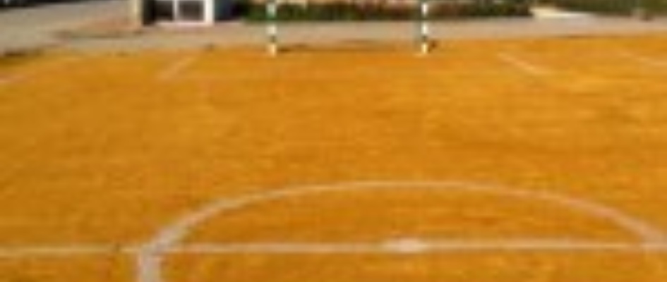 Zona-Deportiva-La-Vixas_2014.jpg